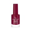 Golden Rose Color Expert Oje 30