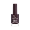 Golden Rose Color Expert Oje 32