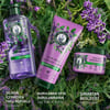 Herbal Essences Kabarıklık Önleyici Lavanta Kokulu Şampuan 350ML