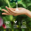 Herbal Essences Sülfatsız Yatıştırıcı Aloe İçeren Şampuan 350 ml