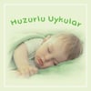 Hero Baby Sütlü Bisküvili 8 Tahıllı Kaşık Maması 200 g