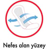 Kotex Anydays Normal Ped 20'li