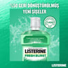 Listerine Fresh Burst 250 Ml