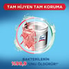 Lysol Antibakteriyel Çamaşır Makinesi Temizleyici Çam ve Okaliptus Ferahlığı 250 ml