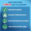 Lysol Antibakteriyel Çamaşır Makinesi Temizleyici Çam ve Okaliptus Ferahlığı 250 ml