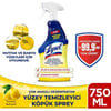 Lysol Çok Amaçlı Dezenfektan Yüzey Temizleyici Köpük Sprey 750 ml
