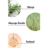 Maru.derm Rosemary Hair Toner Arındırıcı Etkiyle Yağlı Ciltler İçin 200 ml