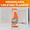 Mr Muscle Advance Power Banyo 750 ml