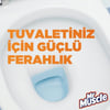Mr Muscle Rezervuar Blok Tuvalet Temizleyici
