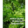 Nıvea 3'Ü1 Arada Makyaj Temizleme Mendilleri (25Adet);Normal Ve Karma Ciltler