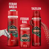 Old Spice Bearglove Erkek Için Stick Deodorant 50 ml