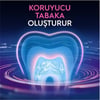 Oral-B Pro-Science Advanced Hassasiyet ve Diş Eti