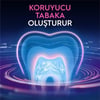Oral-B Professional Hassasiyet ve Diş Eti Orijinal Diş Macunu 75 ml