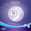 Orkid Günlük Koruma To Go Günlük Pedler x 20