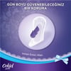 Orkid Günlük Koruma To Go Günlük Pedler x 20