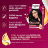 Palette Deluxe 1-1 Gece Mavisi Zengin Yağ Bakımı Kit Saç Boyası Bakım Maskesi