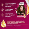 Palette Deluxe 4-65 Büyüleyici Kahve Zengin Yağ Bakımı Kit Saç Boyası Bakım Maskesi
