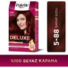 Palette Deluxe 5-88 Şarap Kızılı Zengin Yağ Bakımı Kit Saç Boyası Bakım Maskesi