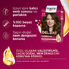 Palette Deluxe 6-0 Koyu Kumral Zengin Yağ Bakımı Kit Saç Boyası Bakım Maskesi