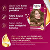 Palette Deluxe 7-0 Kumral Zengin Yağ Bakımı Kit Saç Boyası Bakım Maskesi