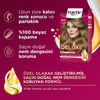Palette Deluxe 8-0 Bal Köpüğü  Zengin Yağ Bakımı Kit Saç Boyası Bakım Maskesi