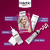 Palette Deluxe U71 Buzul Grisi Zengin Yağ Bakımı Kit Saç Boyası Bakım Maskesi