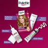 Palette Deluxe Yoğun Renkler 8-01 Küllü Açık Kumral Saç Boyası