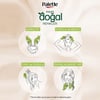 Palette Saç Boyası & Doğal Renkler Colors 8/16 Küllü Sarı 50Ml