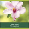Palmolive Aroma Sensations Feel The Glow Manolya Özlü Duş Jeli 500 ml