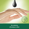 Palmolive Body & Mind Kömür ve Nane Yağı Banyo ve Duş Jeli 500 ml