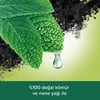 Palmolive Body & Mind Kömür ve Nane Yağı Banyo ve Duş Jeli 500 ml