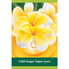 Palmolive Duş Jeli 500ML Feel Happy
