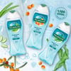 Palmolive Hyaluronic Acid Doğal Aloe Özlü Nemlendirici Banyo ve Duş Jeli 500 ml