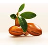 Pantene Doğal Sentez Argan Yağlı Elixir 100 ml Saç Bakım Serumu