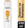 Pantene Onarıcı ve Koruyucu 3'ü1 Arada Şampuan 350 ml