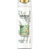 Pantene Uzun Ve Güçlü Saçlar Bambu Ve Biyotinli Şampuan 350 Ml