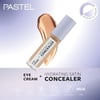 Pastel Eye Cream+Hydrating Satin Concealer 66