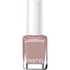 Pastel Oje 120
