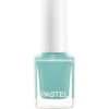 Pastel Oje 313