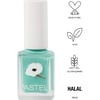 Pastel Oje 419