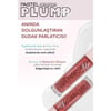 Pastel Plump Up Extra Hydrating Plumping Gloss - Dolgunlaştıran Dudak Parlatıcısı 210 Peach Coral