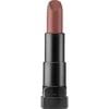 Pastel Profashion Dark Matte Ruj 572 Desert