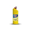Porçöz Çamaşır Suyu Yaz Yağmuru 750 ml