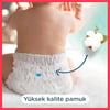 Prima Harmonie Külot Bez 4 Beden 24'lü