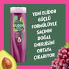 Rexona Kadın Sprey Deodorant Invisible Black & White 150 Ml + Elidor Saç Bakım Şampuanı Avokado Ve Üzüm Çekirdeği Yağı 200 Ml