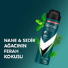 Rexona Men Erkek Sprey Deodorant Natural Fresh Mint 72 Saat Kesintisiz Üstün Koruma 150 ml