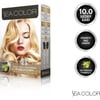 SEA COLOR 10.0  Sedef Sarı Set Boya