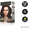 SEA COLOR 5.0  Açık Kahve Set Boya