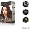 SEA COLOR 5.77  Sıcak Çikolata Set Boya