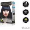 Sea Color Amonyaksız Saç Boyası - Mavi Siyah, Yoğun Pigment, Beyaz Kapatma Özelliği, Uzun Süre Kalıcı ve Canlı Renkler - 99 ml